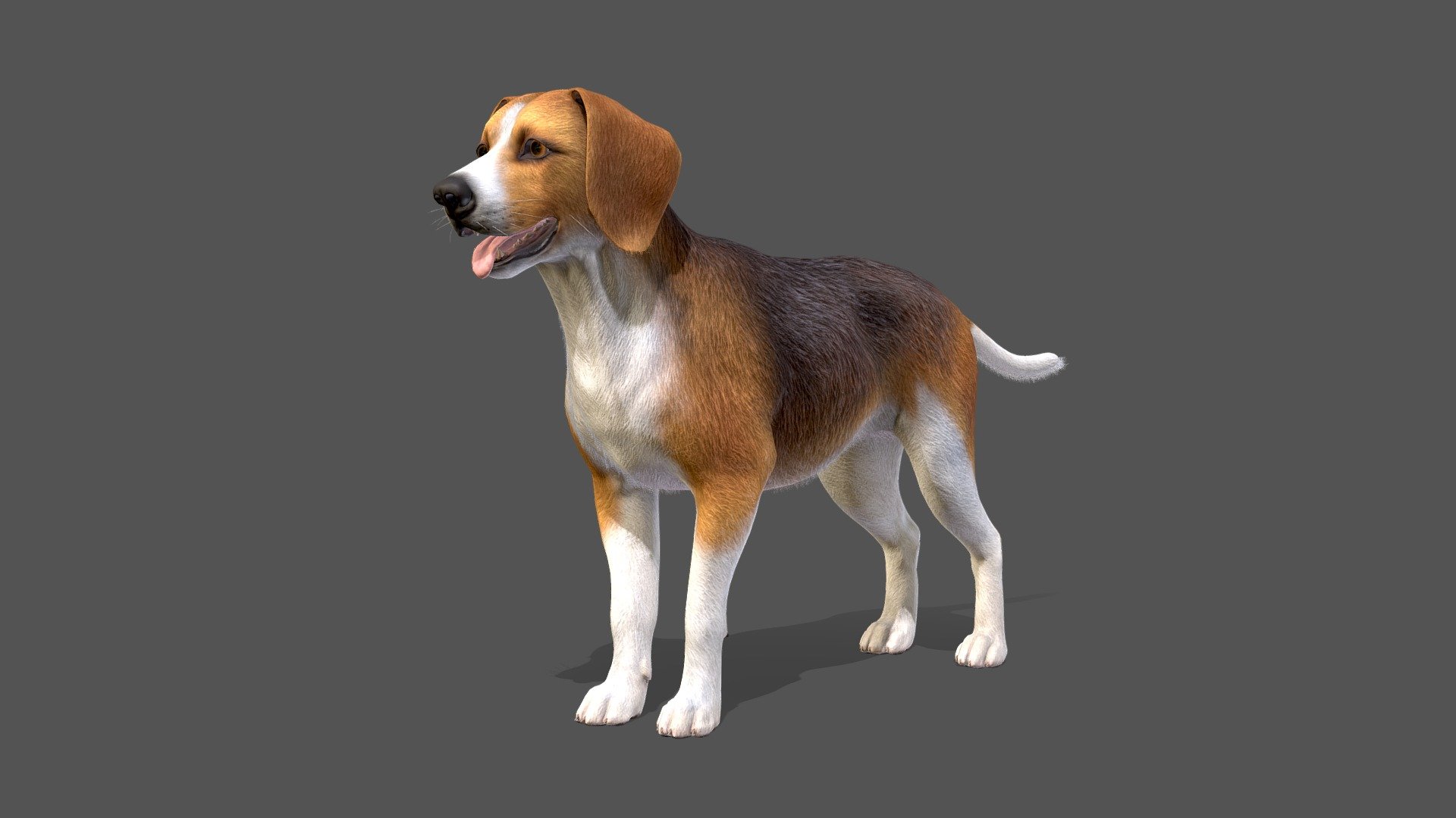 Dog 3d model