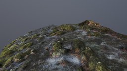 Stone Moss Rock