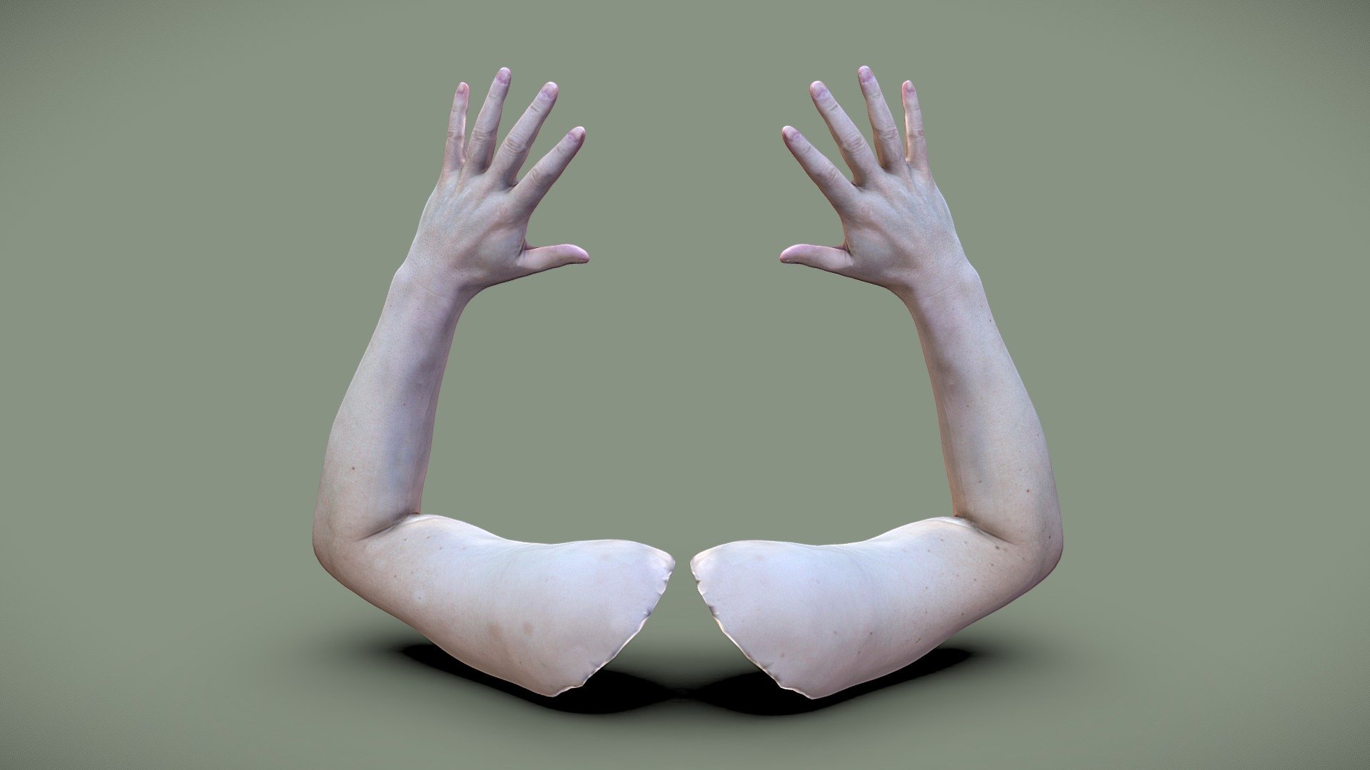 Male arms 3d model