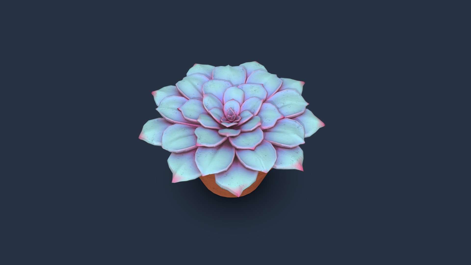 Succulent 3d model