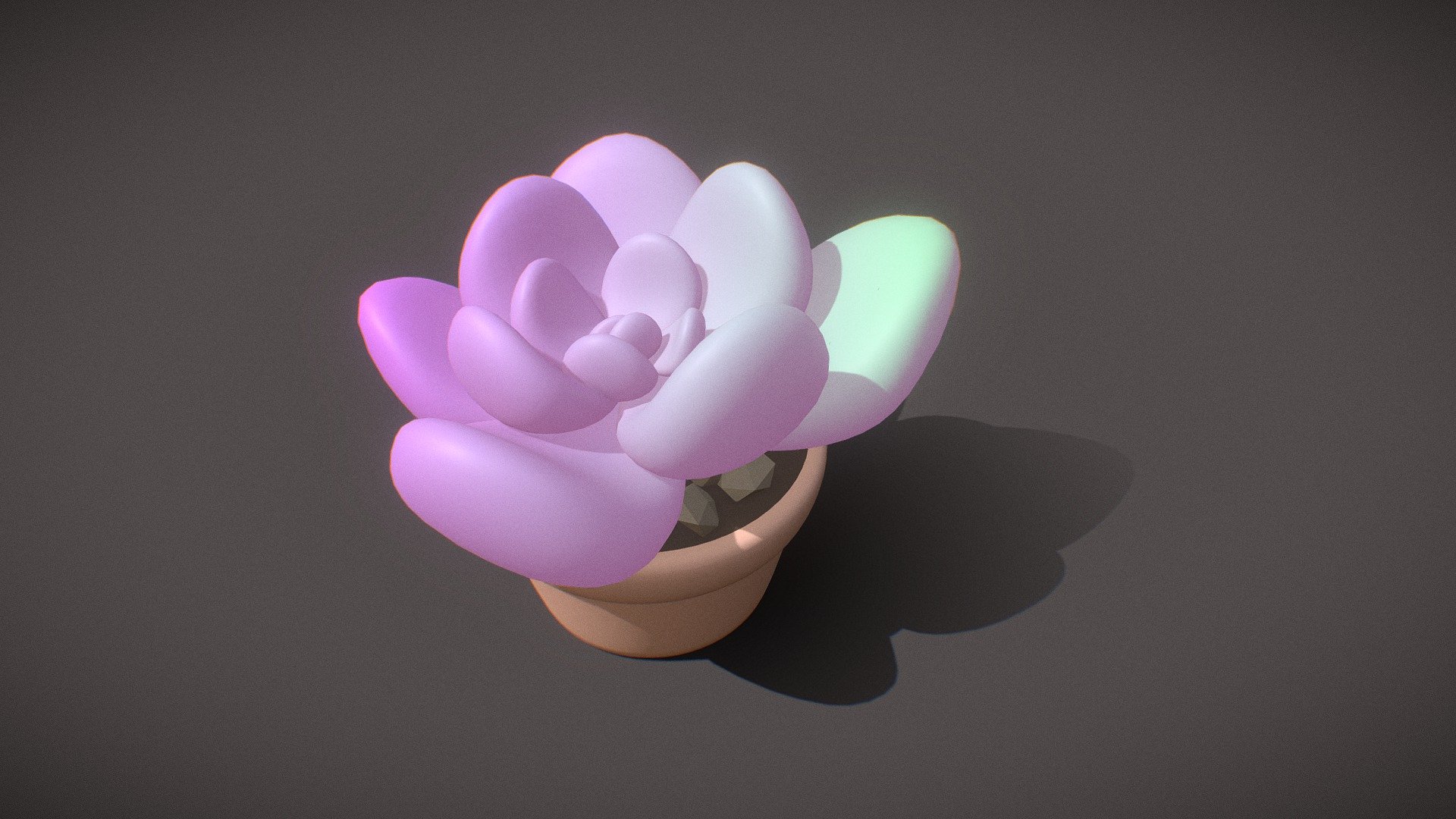 succulent 3d model