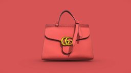 Gucci Bag Scan