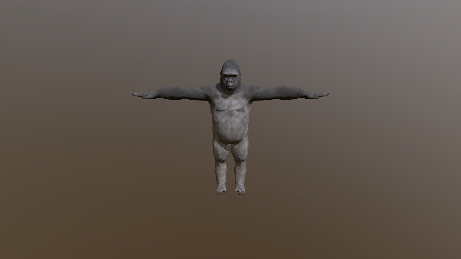 Gorilla 3d model