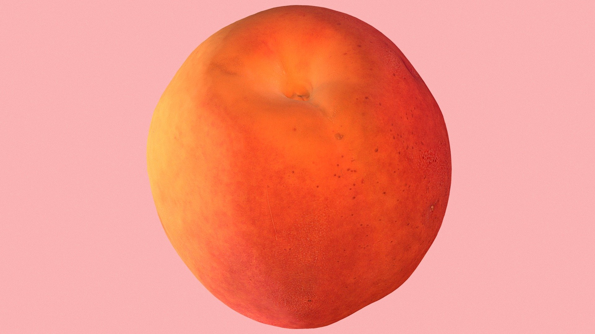 Apricot 3d model