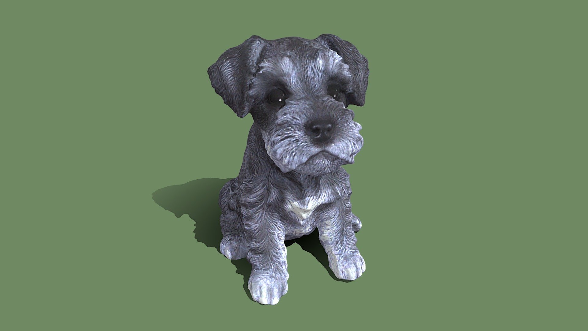 Micro Schnauzer puppy dog 3d model