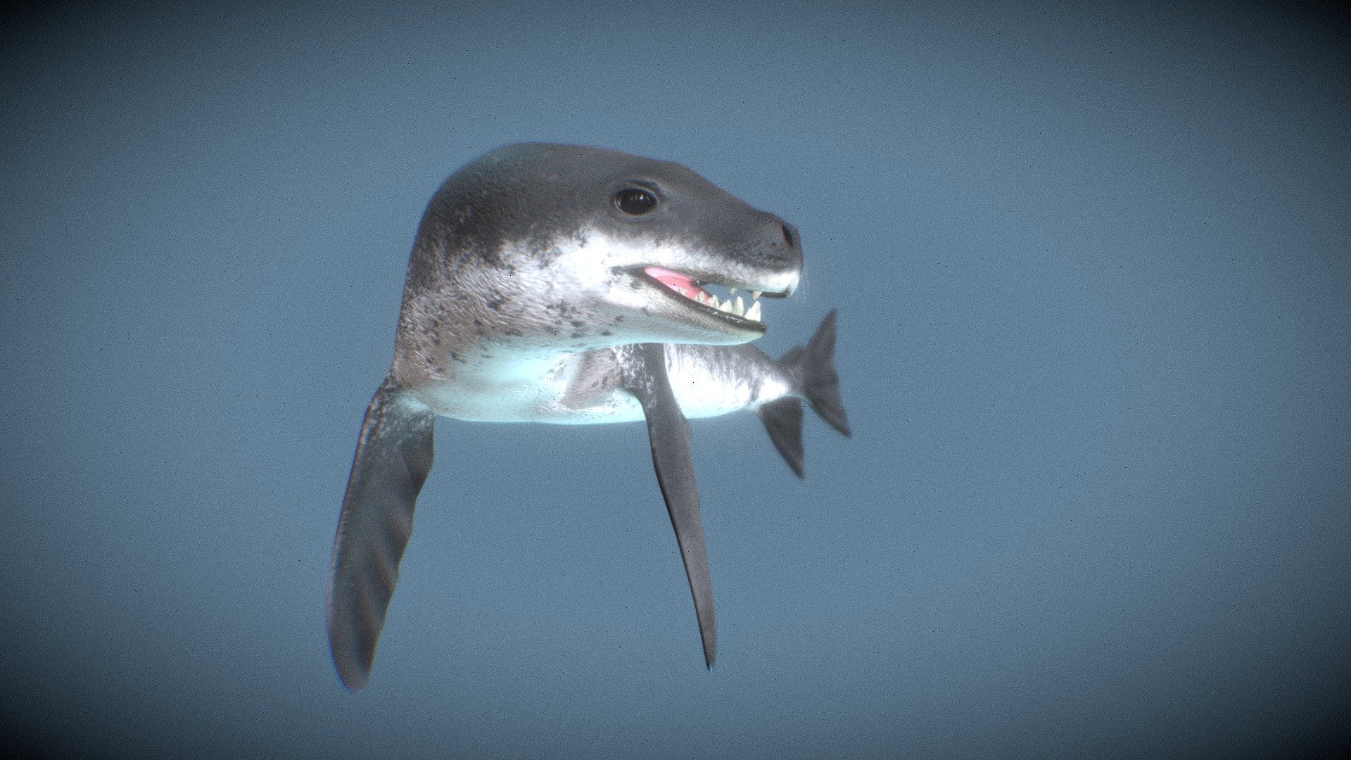 Leopard Seal (Hydrurga Leptonyx) 3d model