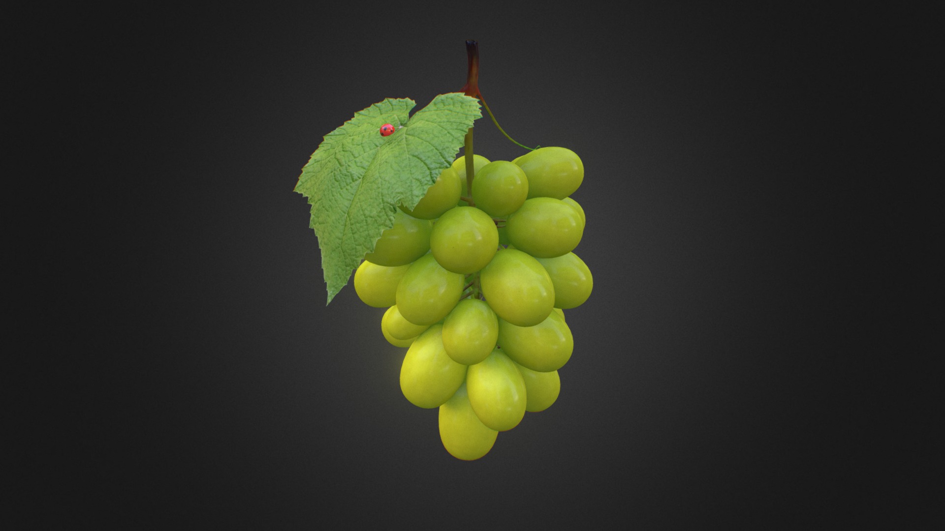 Green Grapes 3d model