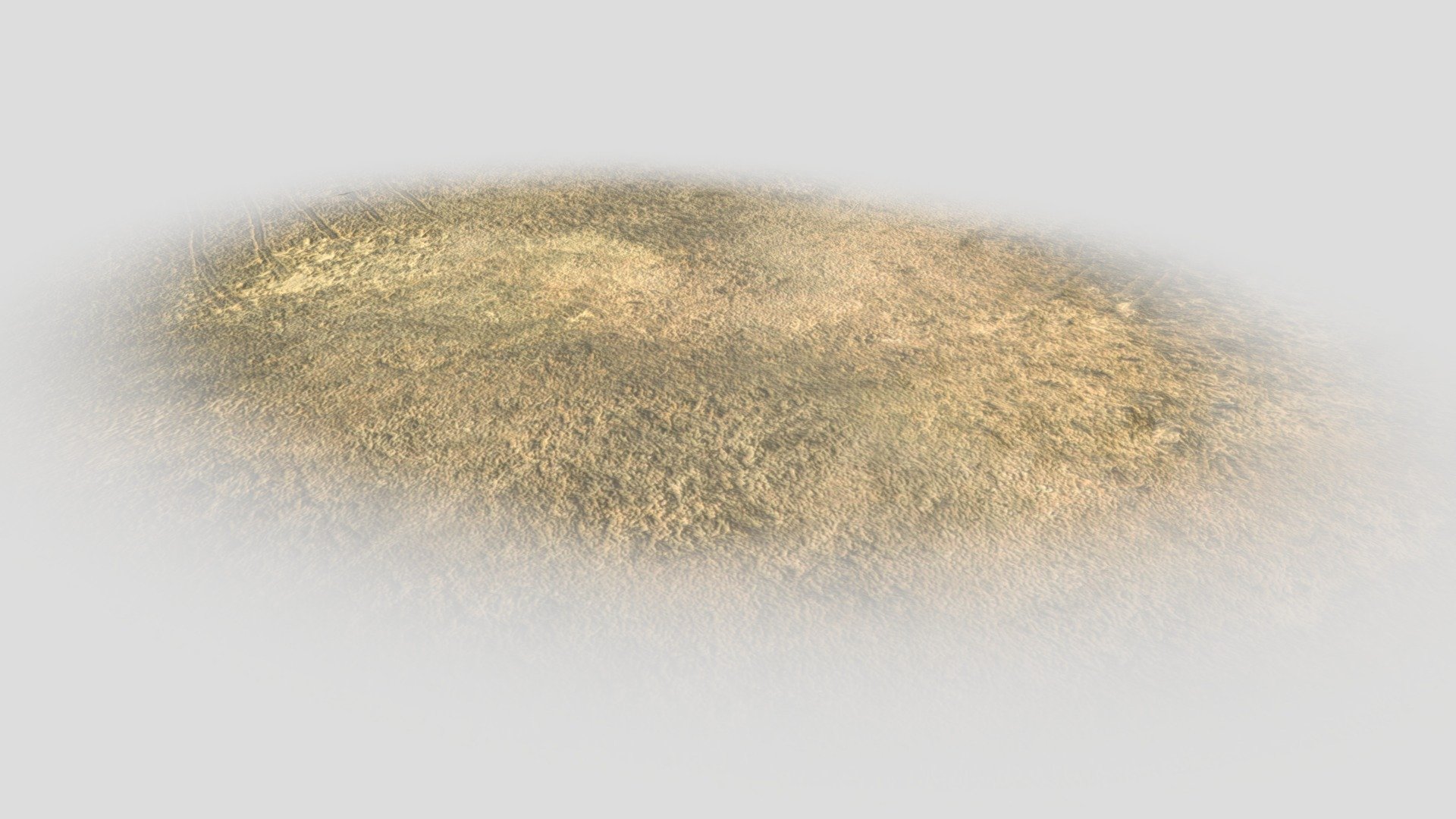 Dirt Patch V1 3d model