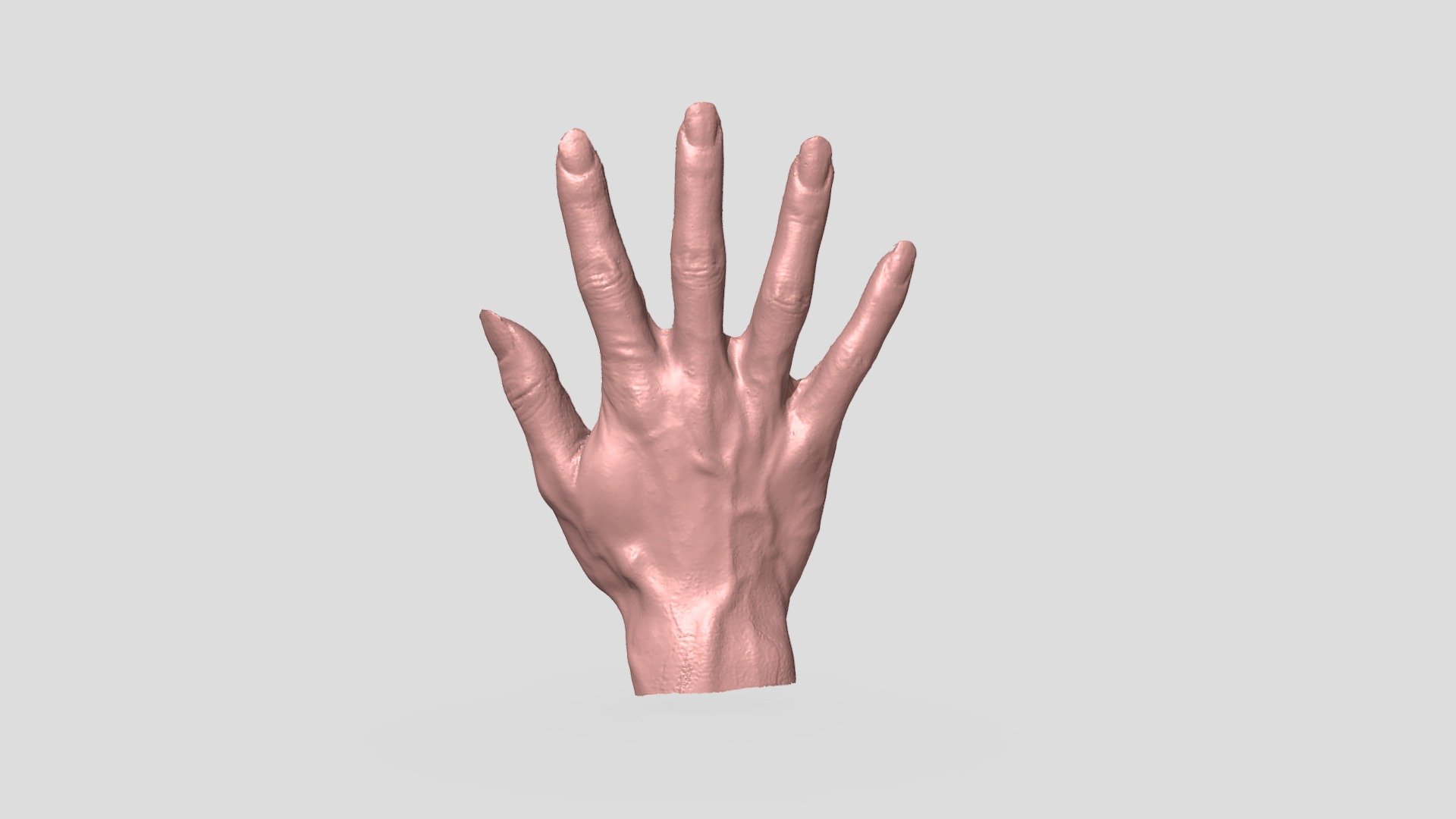 Hand  Mode 3d model