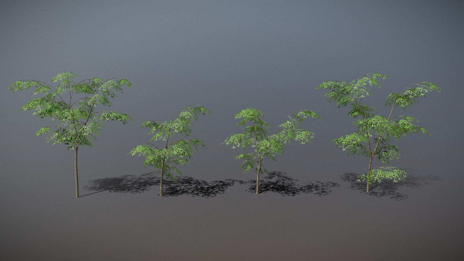 Low Poly Maple Trees 3d model