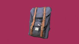 HERSCHEL BAG