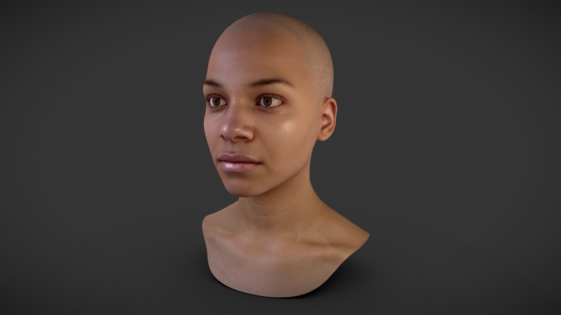 Female Head Scan_01 3d model