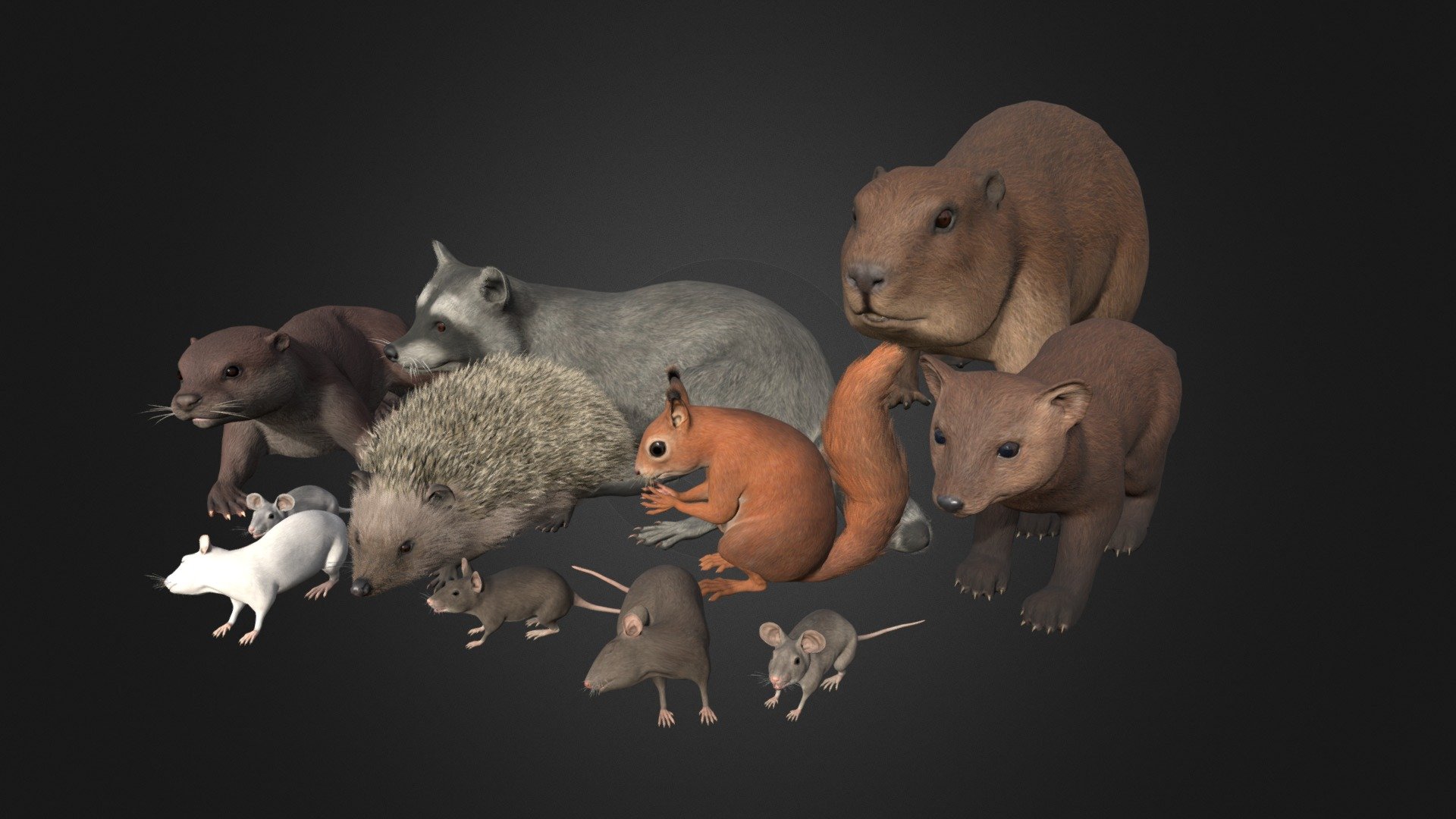 Pack Of Small Animals 3d model