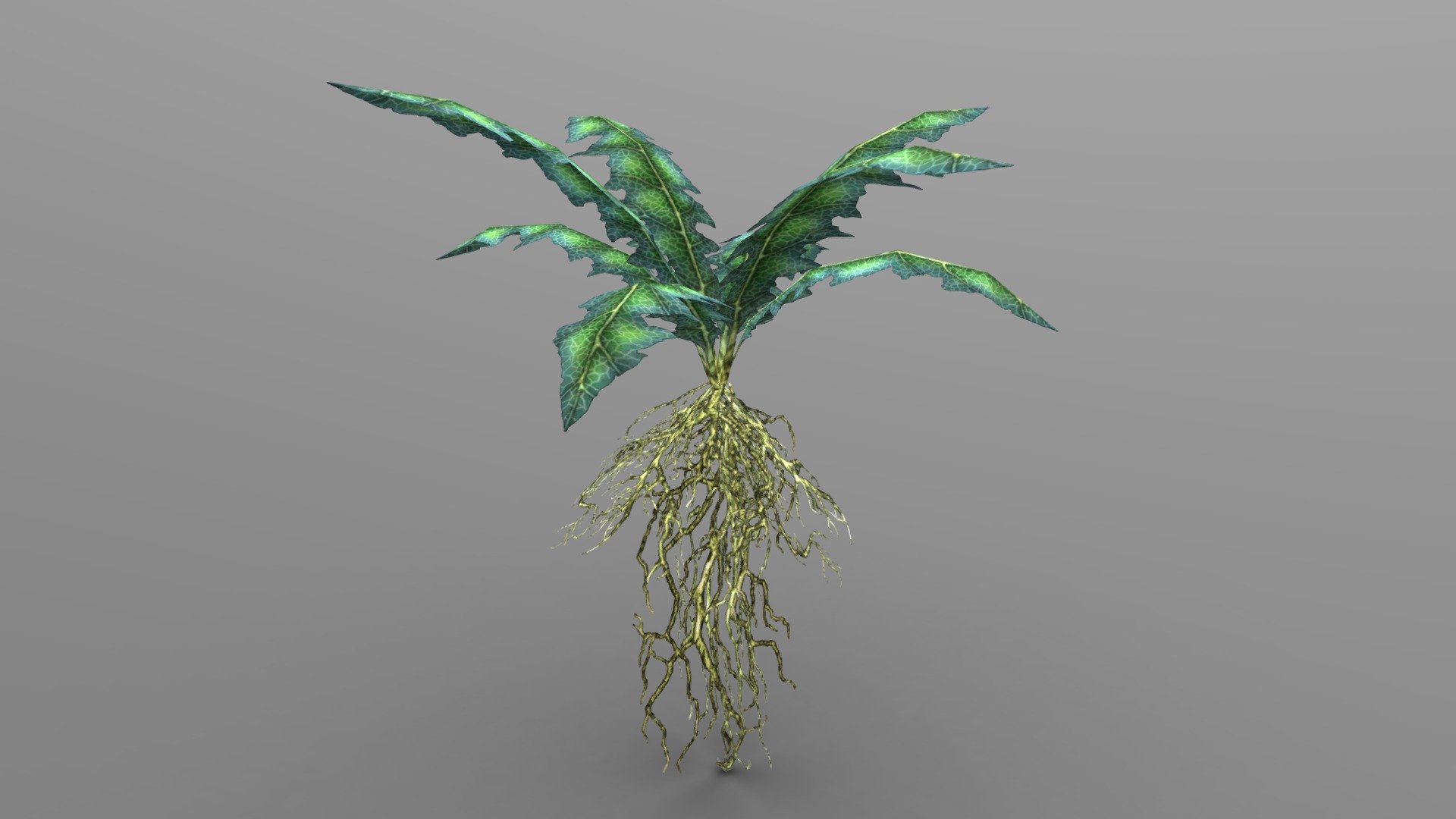 Nirnroot 3d model