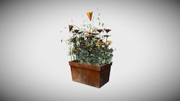 Flower Pot