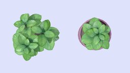 Stylized basil pot plant