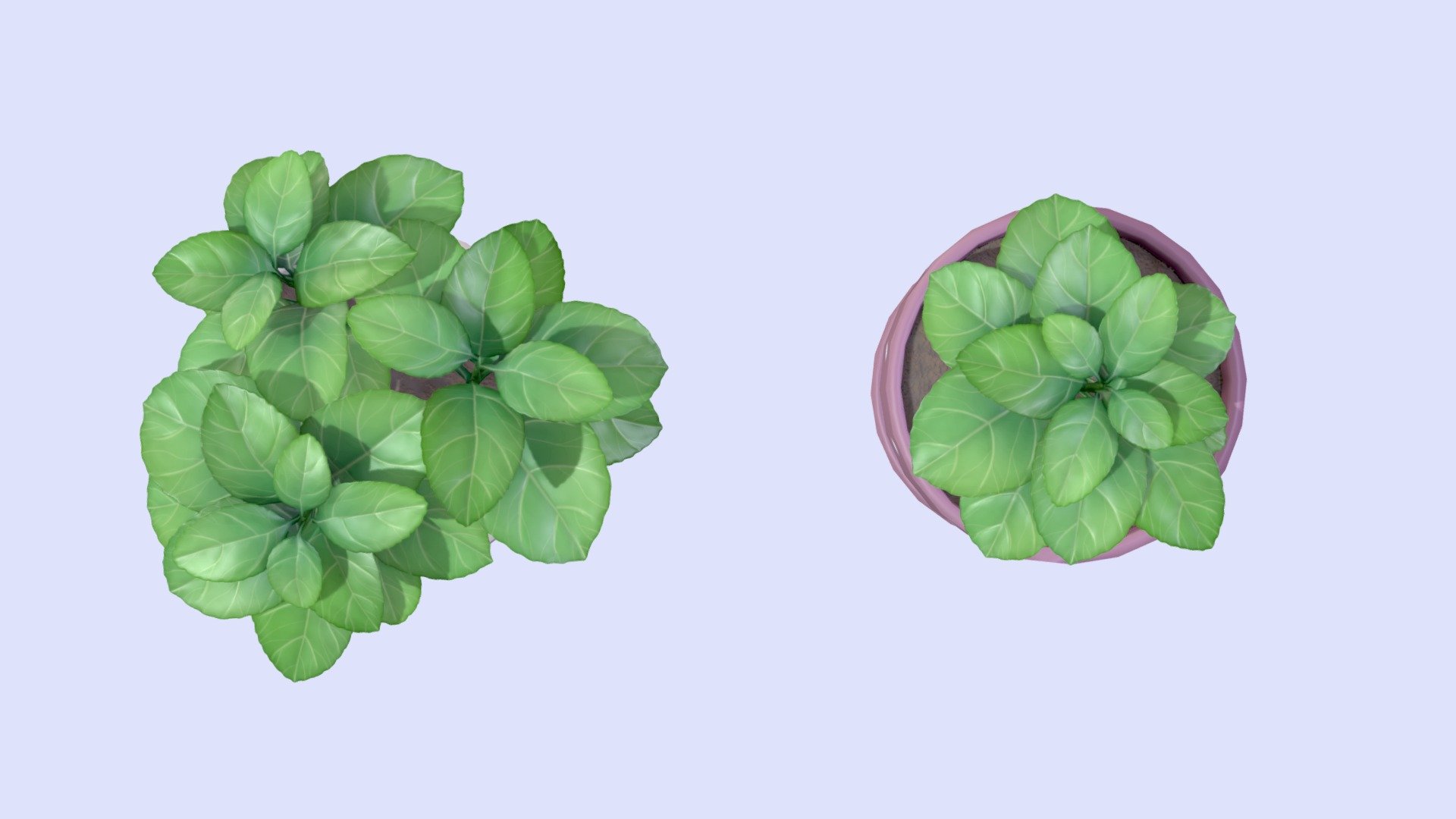 Stylized basil pot plant 3d model