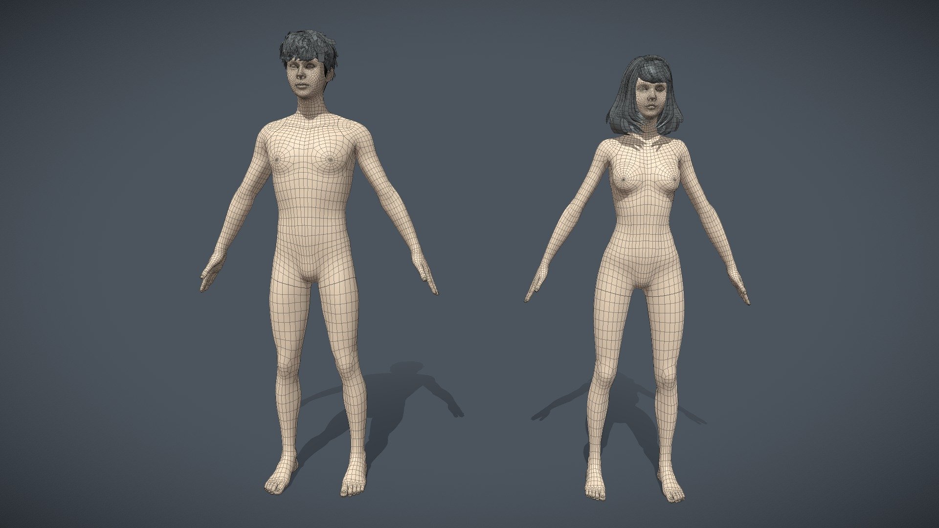 Base Mesh  Asia 3d model