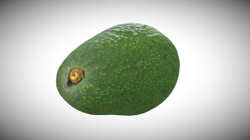 Avocado 3d model