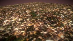 Fall Leaf Covered Ground