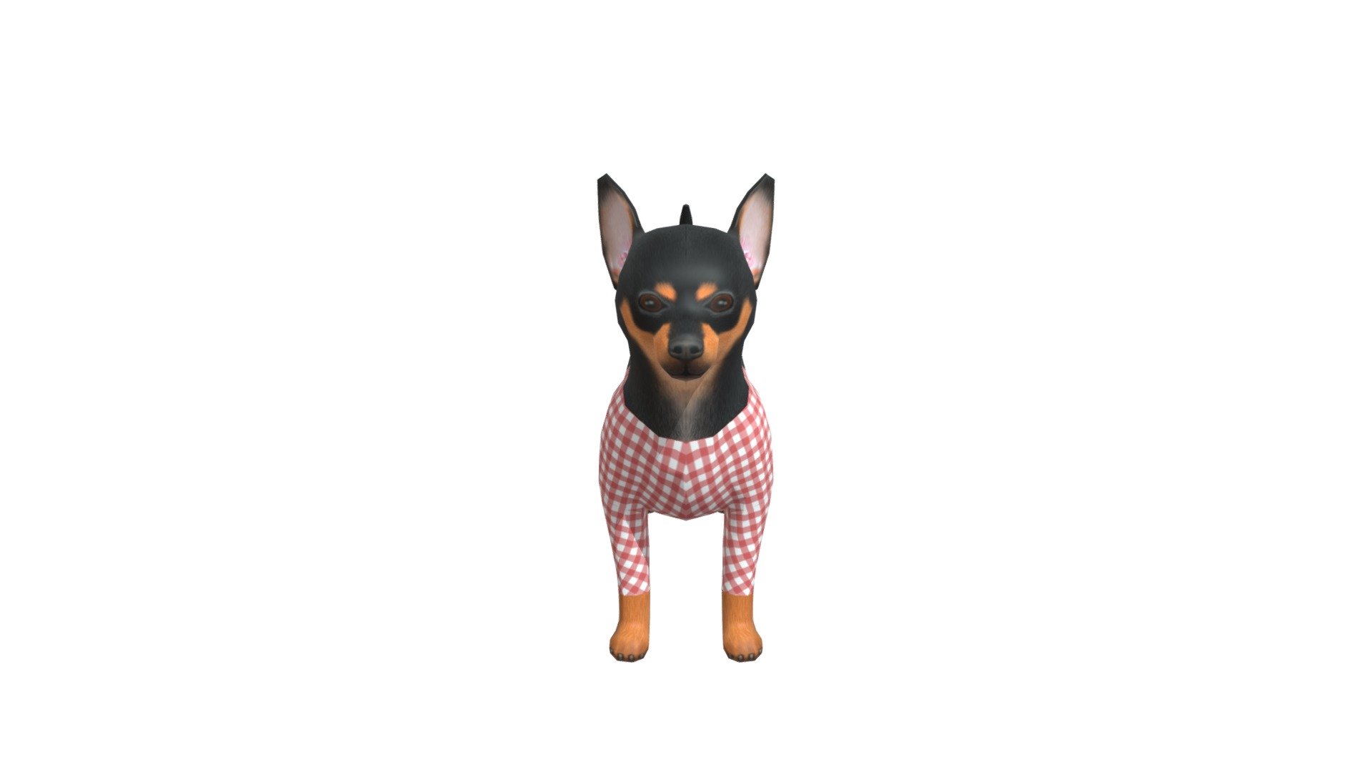 Chihuahua 3d model