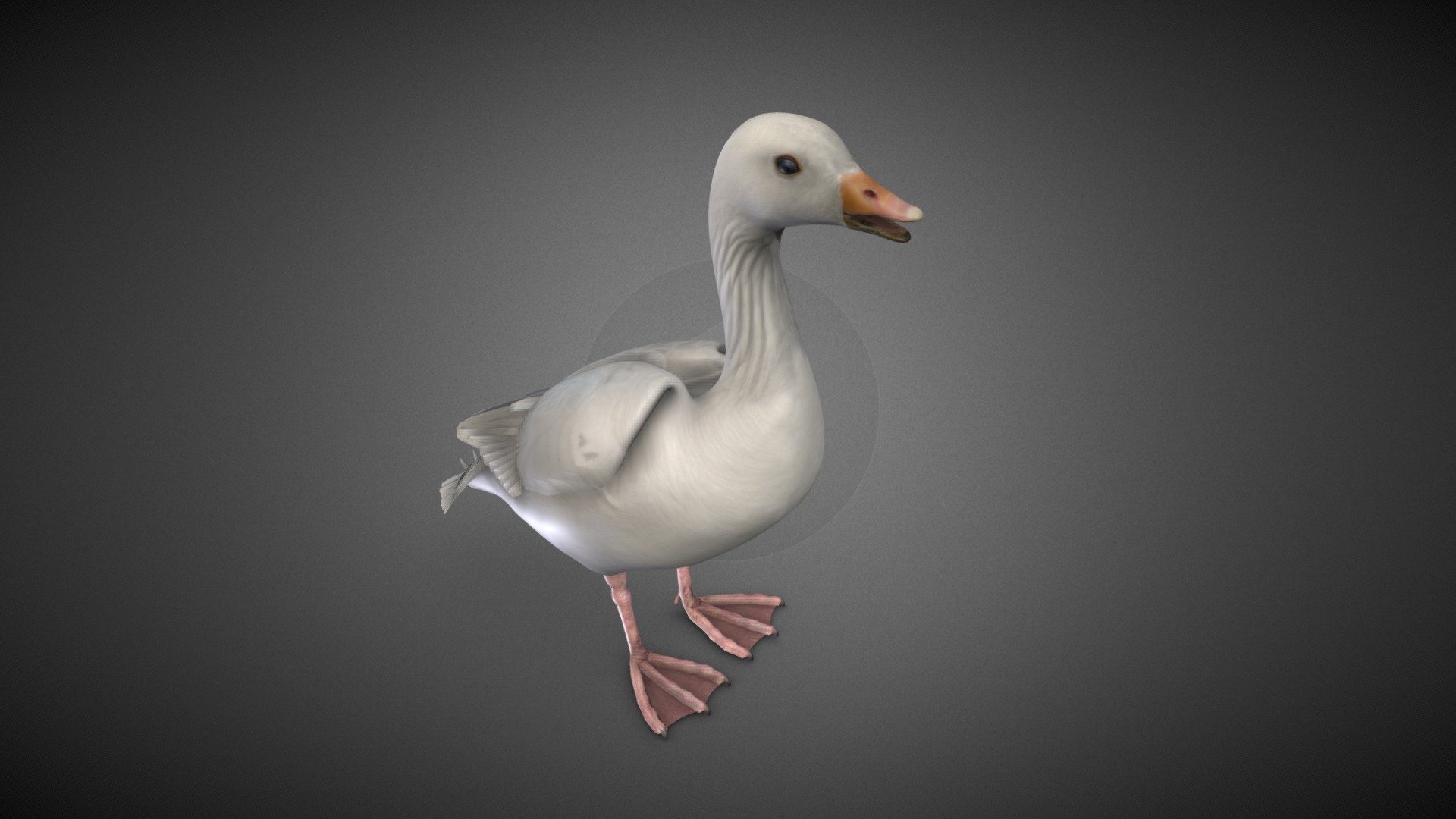 Goose 3d model