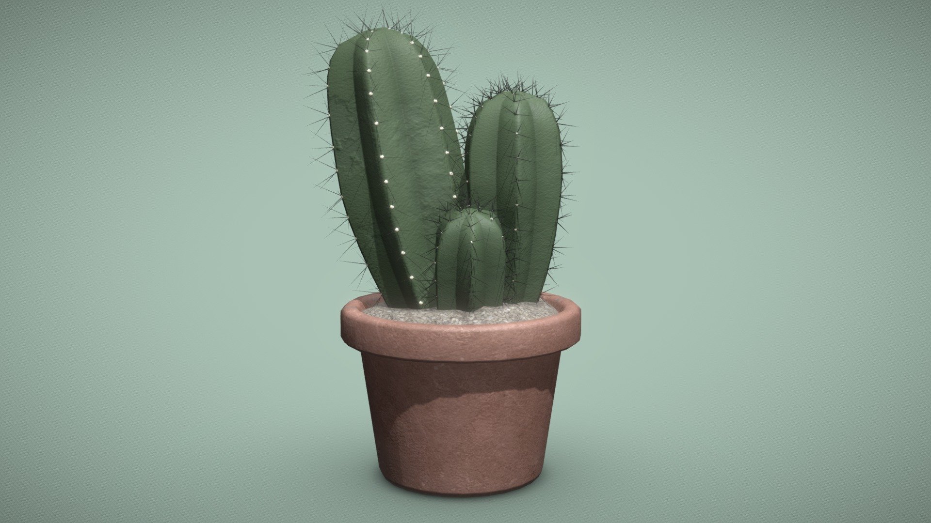 Blue Candle Cactus (Myrtillocactus geometrizans) 3d model