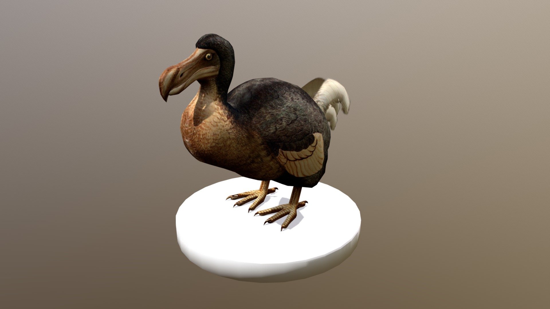 Dodo 3d model