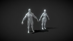 Muscular Human Body Base Mesh 10k Polygons