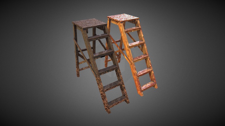 Ladder 3d model