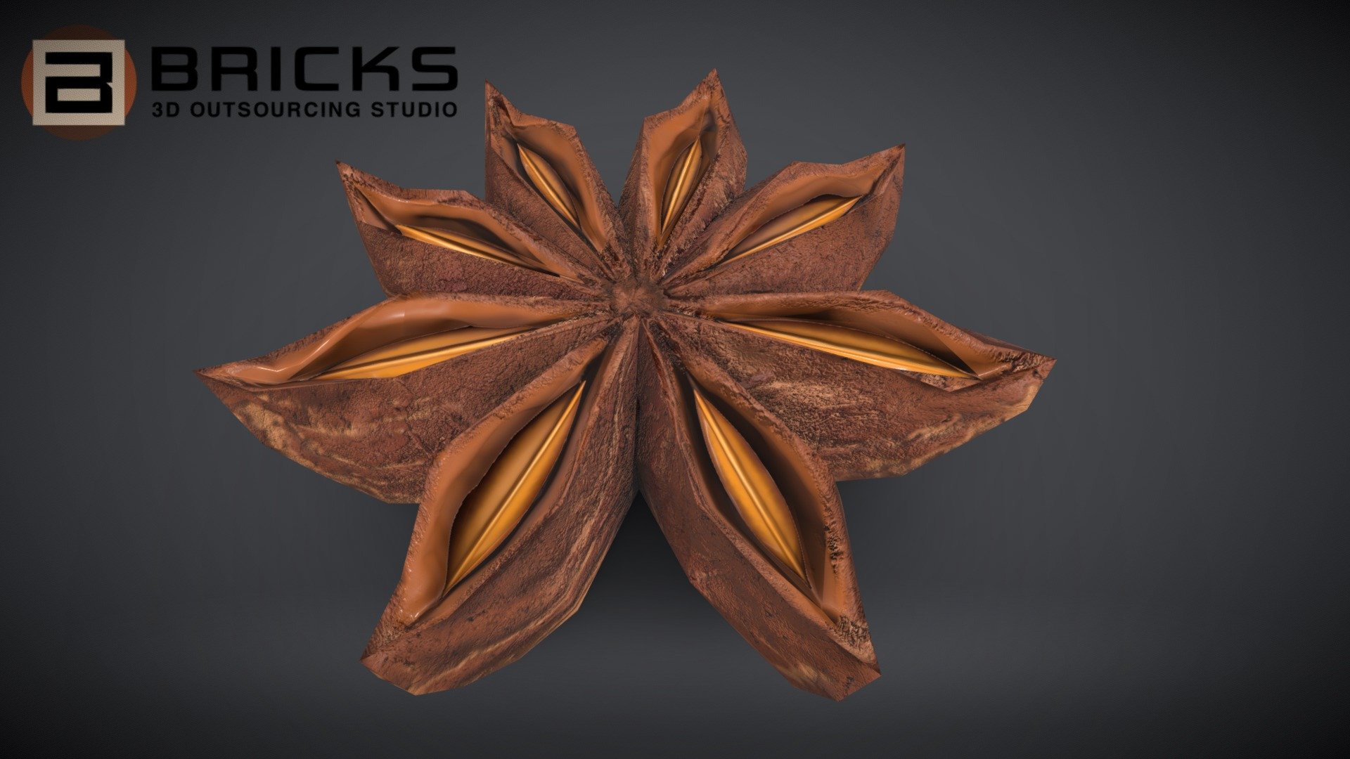 Anise Star 3d model