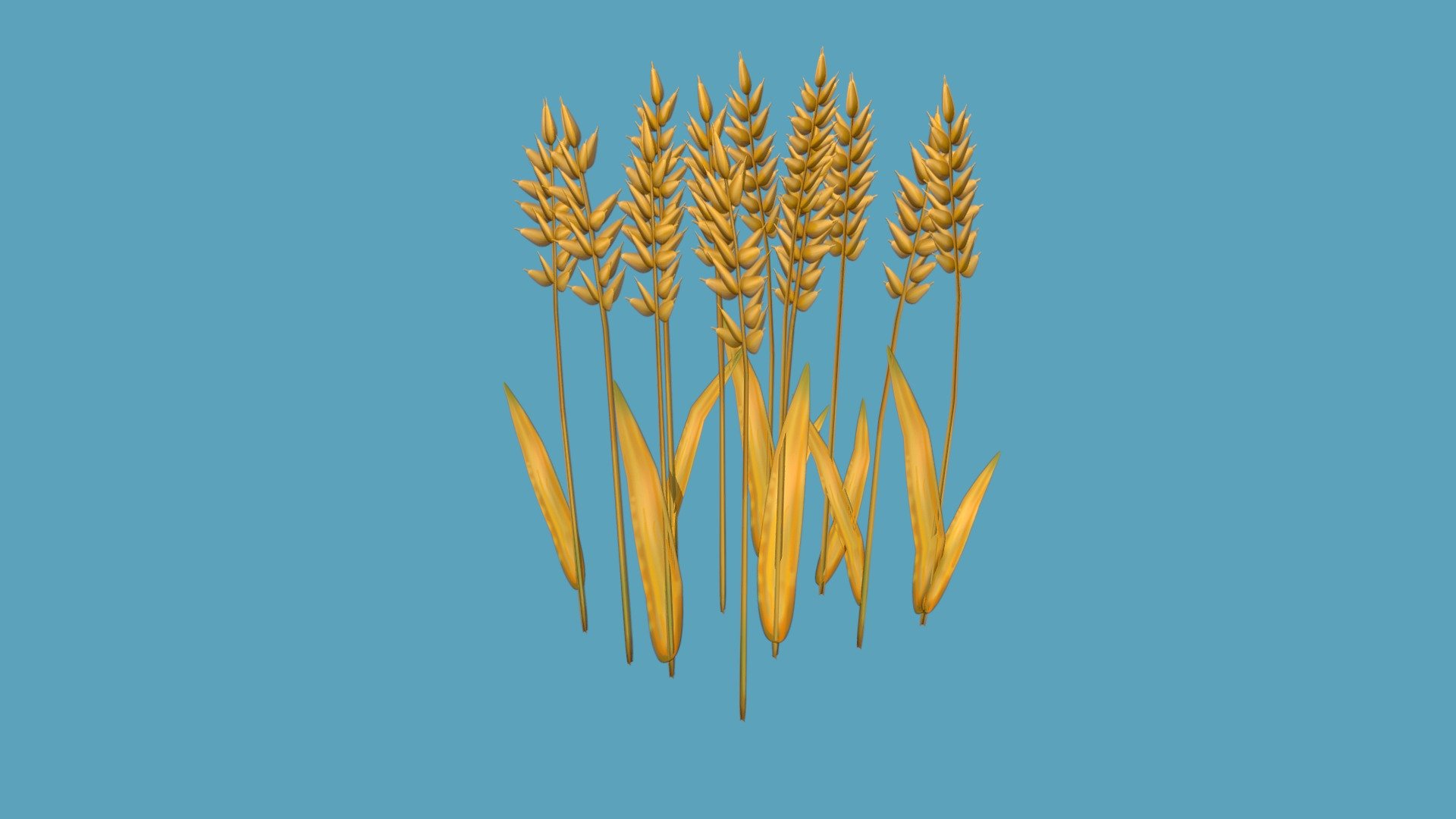 Wheat 3d model