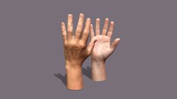 Female Hands