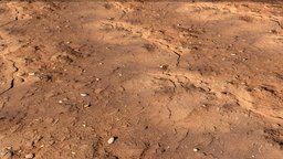 Moist clayey soil full of straw