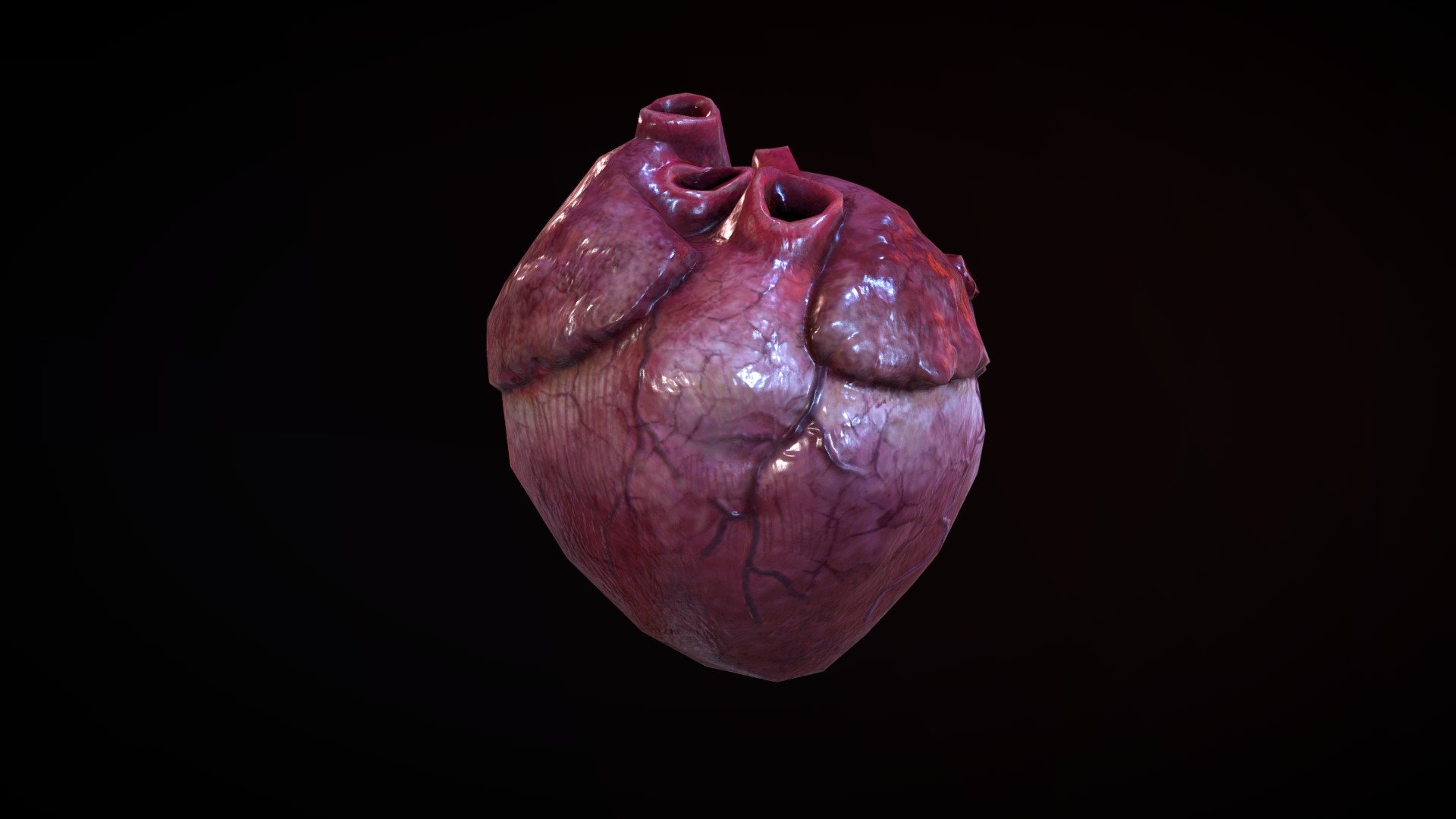 Heart 3d model