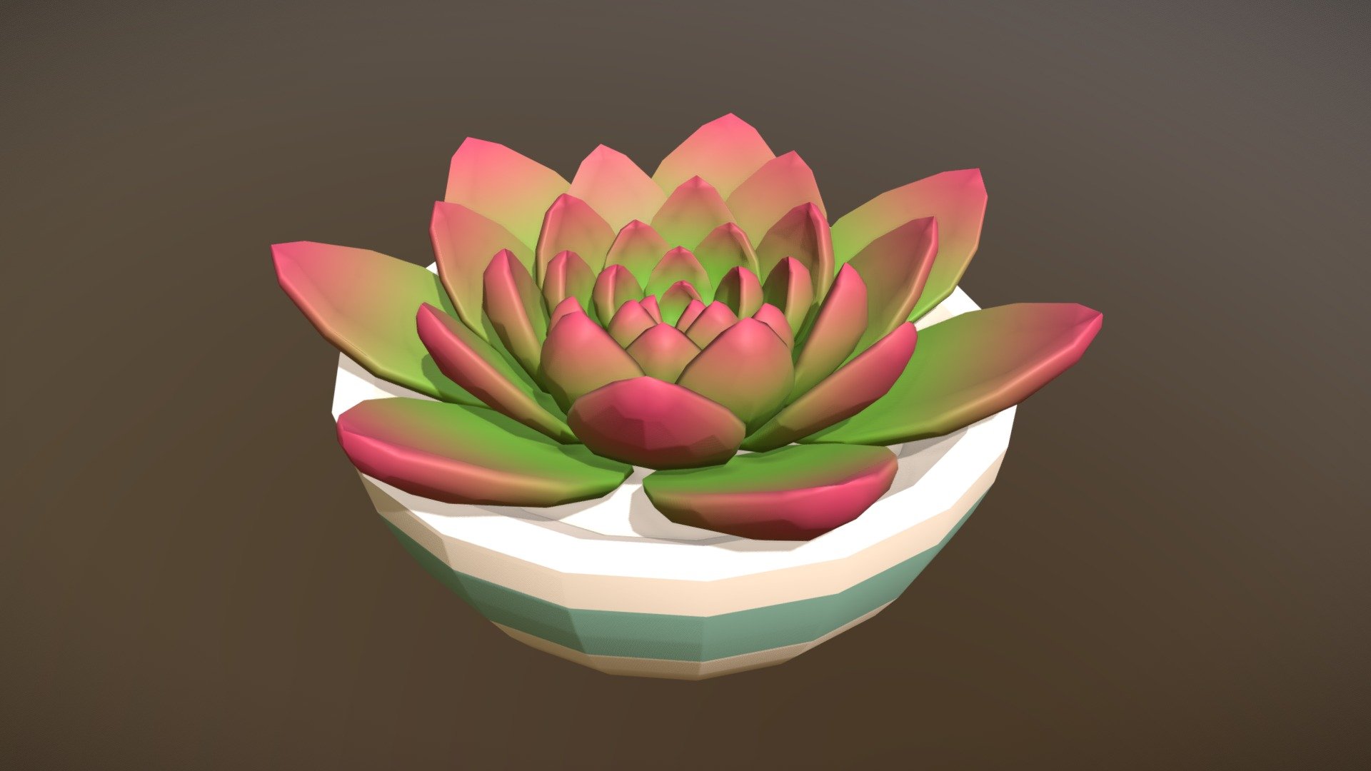 Pot Succulent 3d model