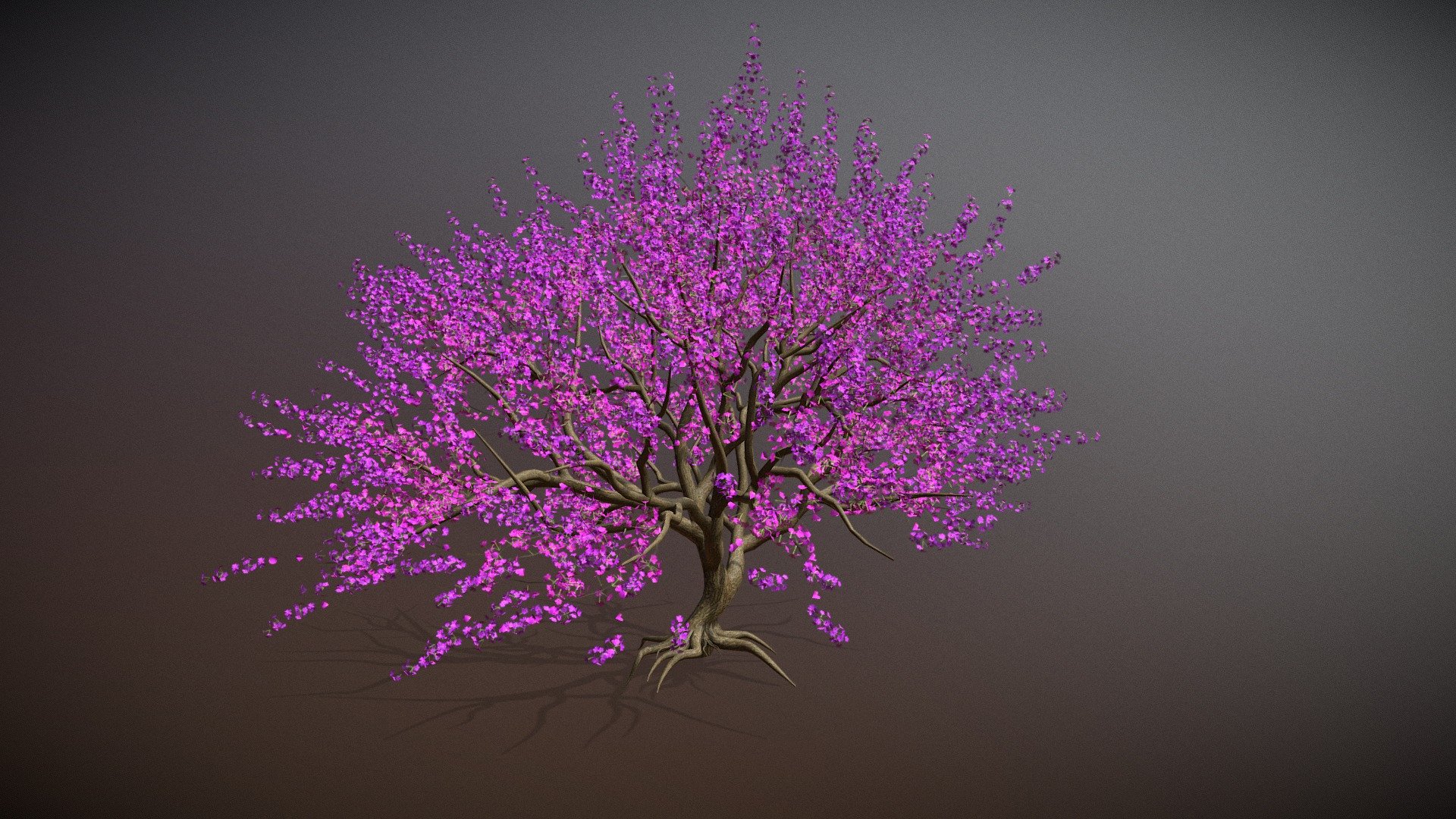 Tree Cherry Blossoms 3d model