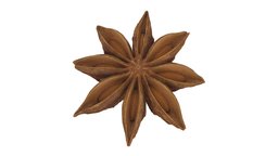 Star Anise #2