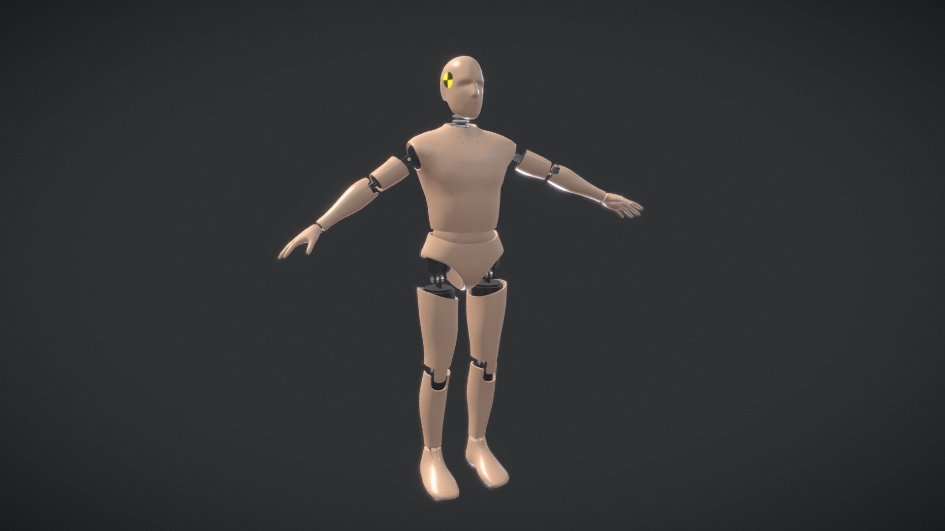 Crash Test Dummy 3d model