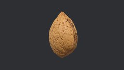 Almond Unshelled 1