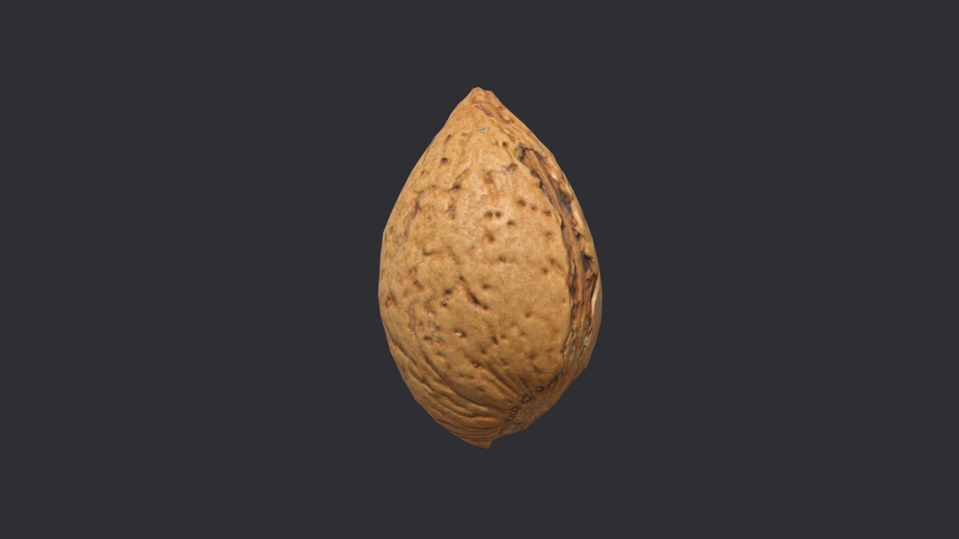 Almond Unshelled 1 3d model