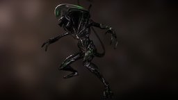 Alien Xenomorph