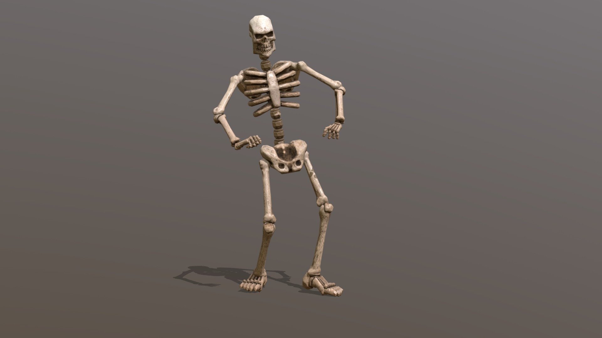 Twist Skelly Dance 3d model