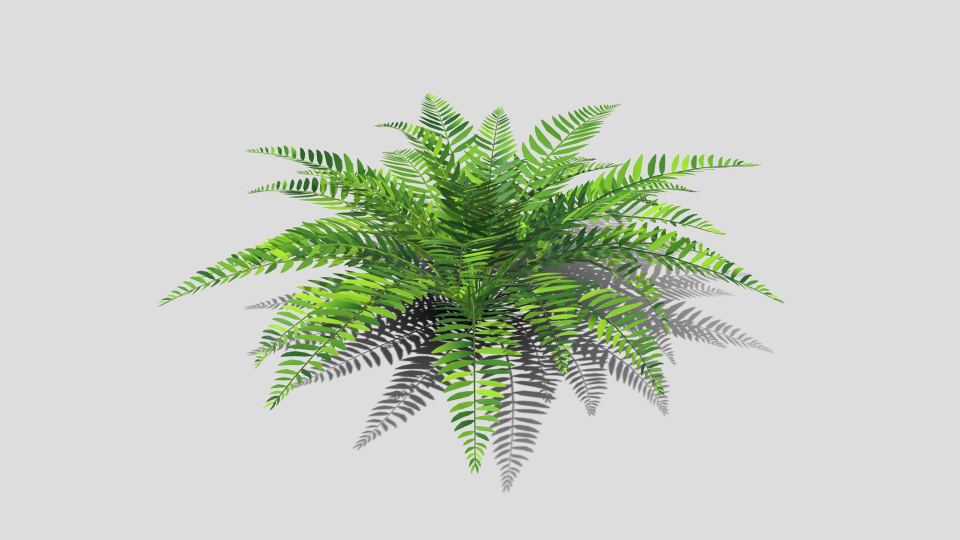 Green Bush 3d model