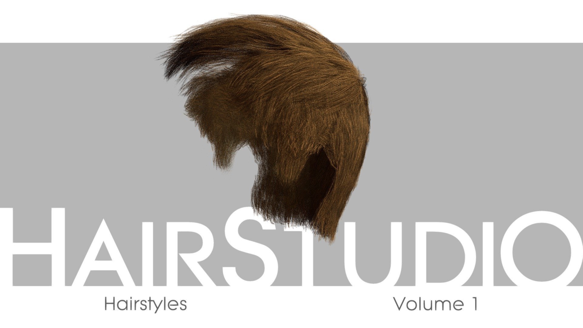 HairStudio Vol.01 3d model