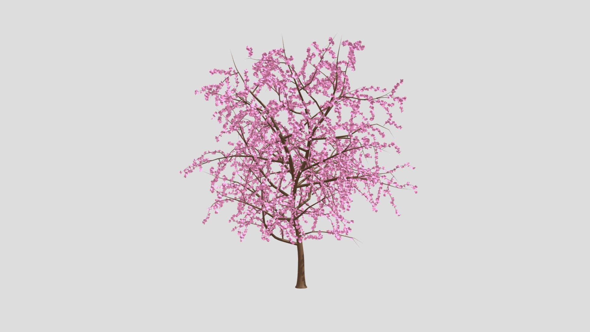 Blossom Tree 3d model