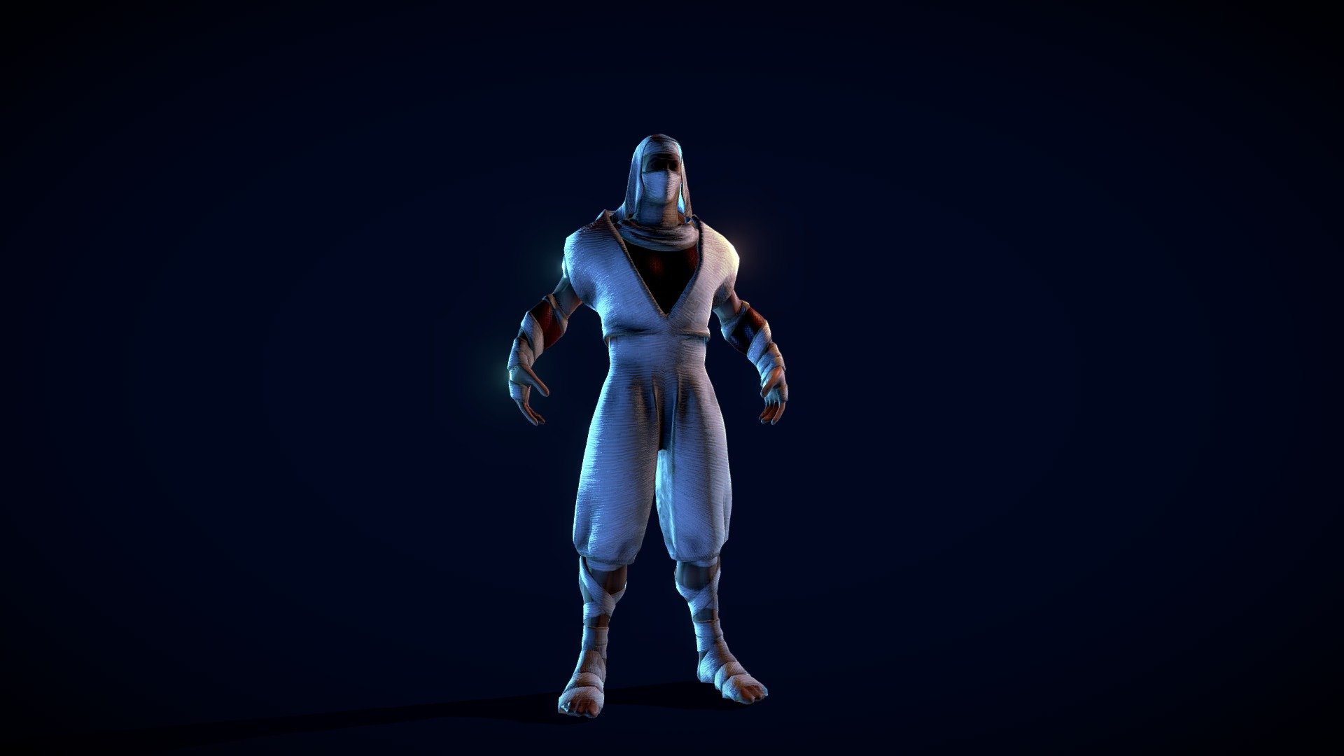 Ninja 3d model