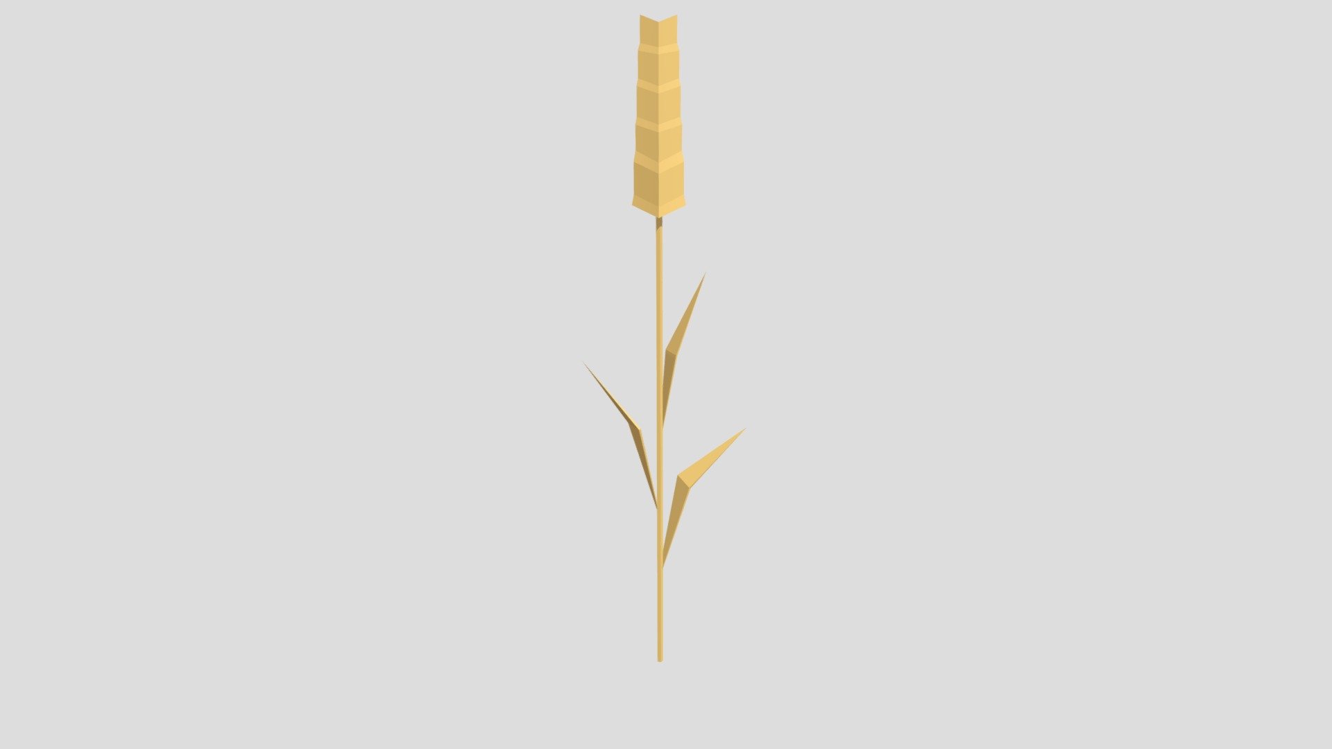 Low Poly Wheat 3d model