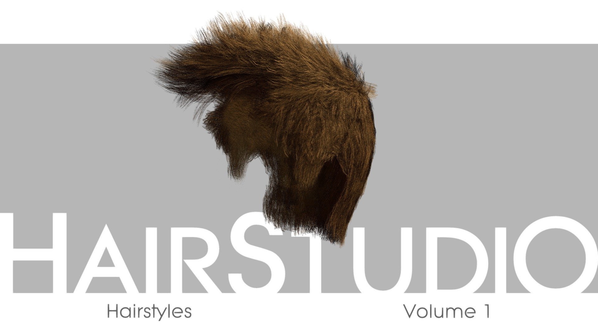 HairStudio Vol.01 3d model