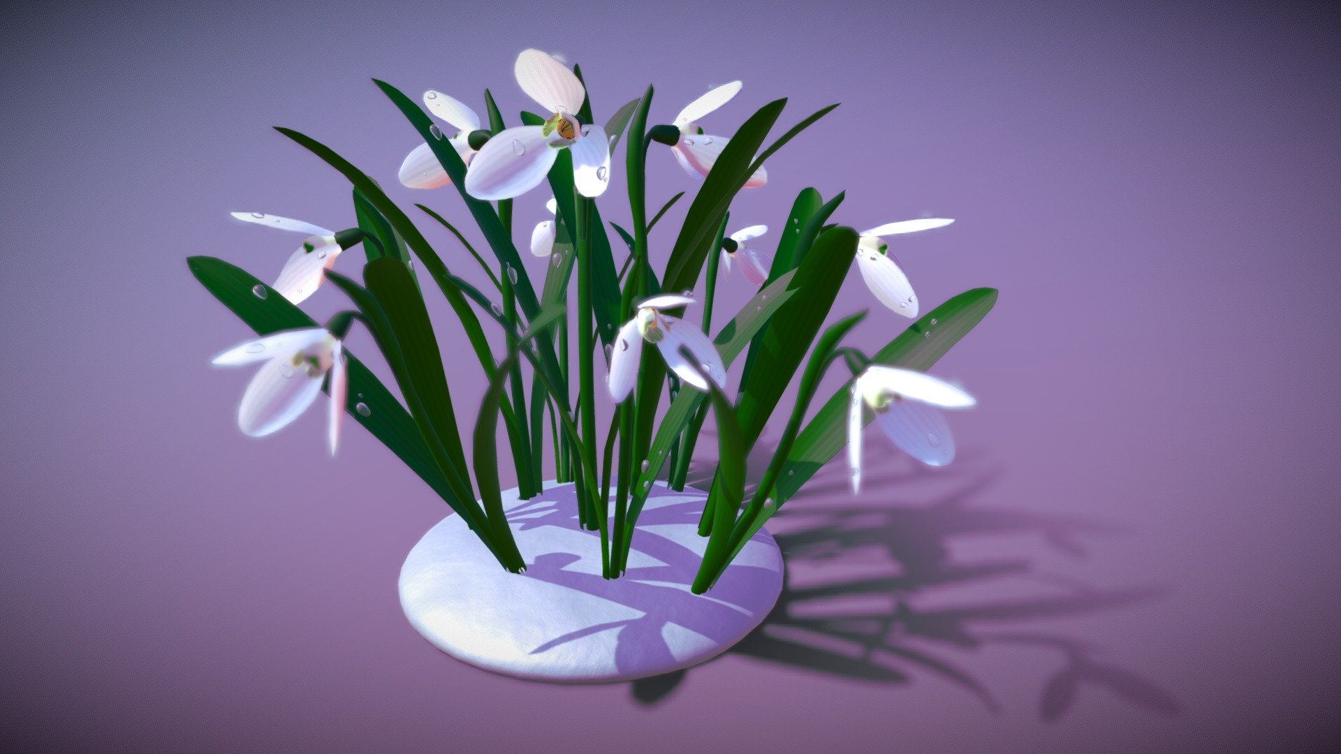 spring flowers galanthus 3d model